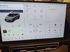 Li Auto L9 2022 Max - ფოტო 12