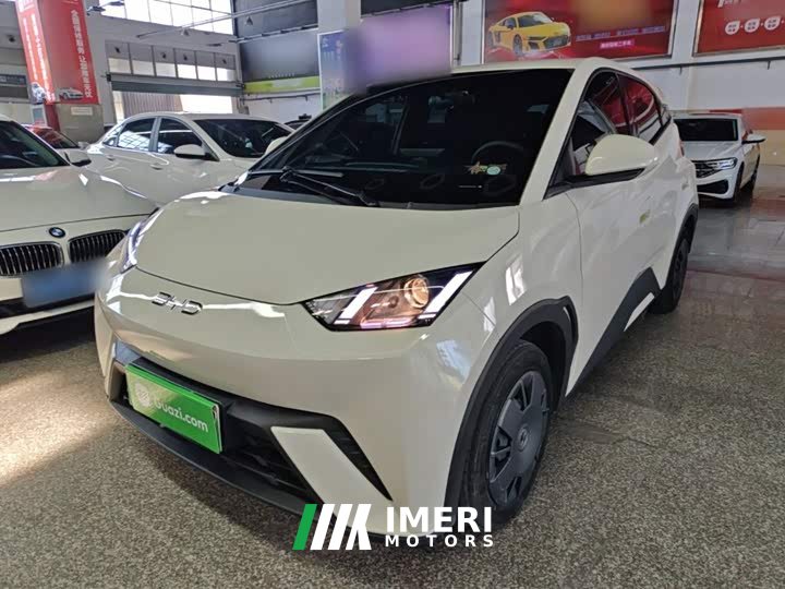 BYD Seagull Glory Edition 305km Vitality Version - ავტომობილი ჩინეთიდან
