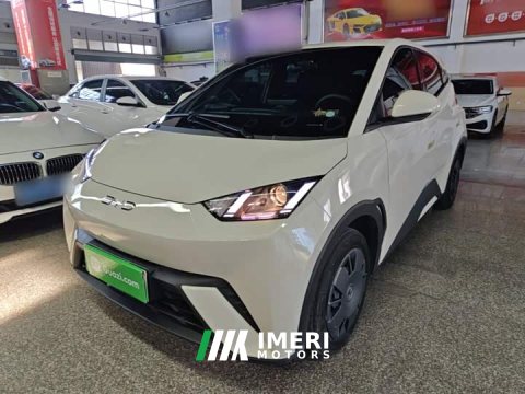 2024 BYD Seagull Glory Edition 305km Vitality Version - ავტომობილი ჩინეთიდან