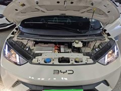 BYD Seagull Glory Edition 305km Vitality Version - ფოტო 16