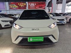 BYD Seagull Glory Edition 305km Vitality Version - ფოტო 3