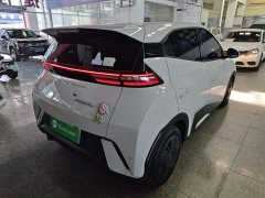 BYD Seagull Glory Edition 305km Vitality Version - ფოტო 5