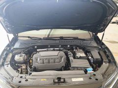 Volkswagen Passat 330TSI Starry Sky Elite - ფოტო 20