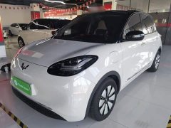 Wuling Binguo 2024 333km Joy Edition - ფოტო 1