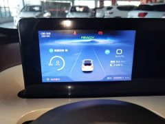 Wuling Binguo 2024 333km Joy Edition - ფოტო 12