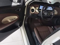 Wuling Binguo 2024 333km Joy Edition - ფოტო 16