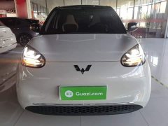 Wuling Binguo 2024 333km Joy Edition - ფოტო 3