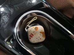 Wuling Binguo 2024 333km Joy Edition - ფოტო 9