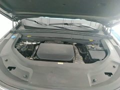 Li Auto L8 Max - ფოტო 20
