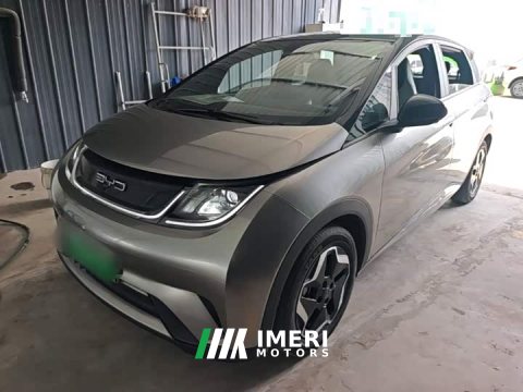 2023 BYD Dolphin 405km Fashion Edition - ავტომობილი ჩინეთიდან