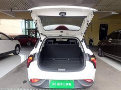 Neta V 2021 Standard Range Entertainment Edition - ფოტო 19
