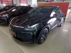 Tesla Model Y Rear-Wheel Drive - ფოტო 2