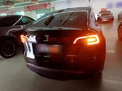 Tesla Model Y Rear-Wheel Drive - ფოტო 6