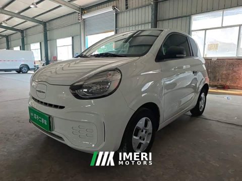 2022 SAIC Corey Wei CLEVER 302km New Four-Seat Super Version - ავტომობილი ჩინეთიდან