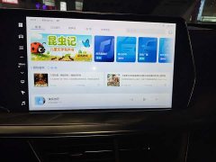 Haval Divine Beast 2022 1.5T Smart Enjoy Edition - ფოტო 13