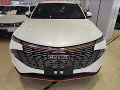 Haval Divine Beast 2022 1.5T Smart Enjoy Edition - ფოტო 3