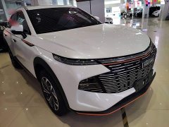 Haval Divine Beast 2022 1.5T Smart Enjoy Edition - ფოტო 4