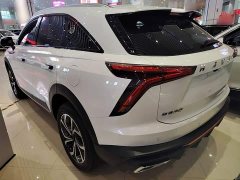 Haval Divine Beast 2022 1.5T Smart Enjoy Edition - ფოტო 5