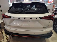 Haval Divine Beast 2022 1.5T Smart Enjoy Edition - ფოტო 6