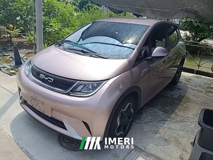 BYD Dolphin 405km Freedom Edition