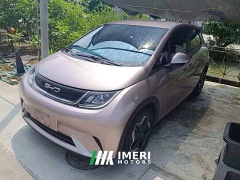 2023 BYD Dolphin 405km Freedom Edition - ავტომობილი ჩინეთიდან