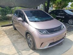 BYD Dolphin 405km Freedom Edition - ფოტო 4