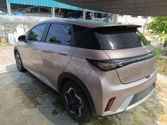 BYD Dolphin 405km Freedom Edition - ფოტო 5