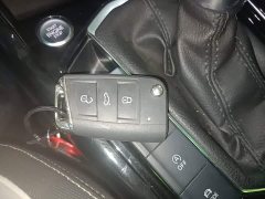 Volkswagen Taos 300TSI FWD Luxury Plus Advanced Edition - ფოტო 9