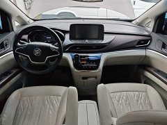 Buick GL8 Land Official Business Class 652T Comfort Edition - ფოტო 10