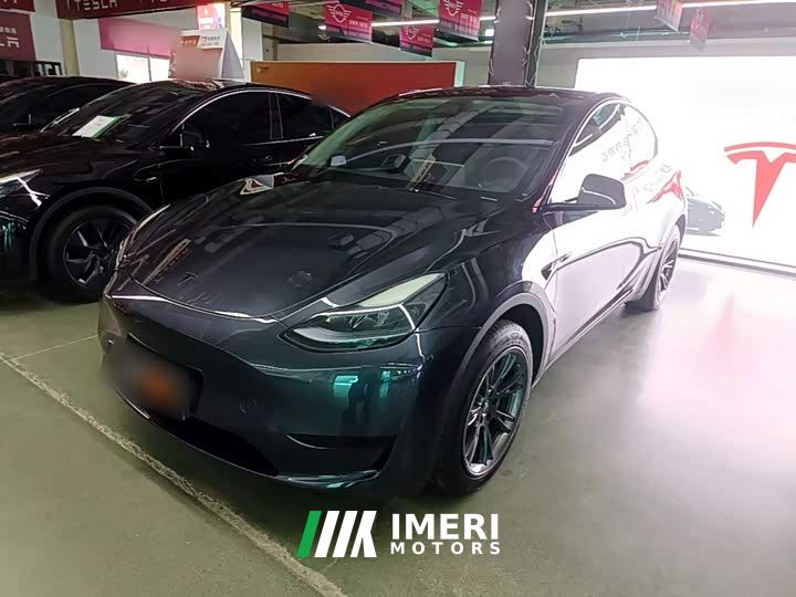 Tesla Model Y Rear-Wheel Drive