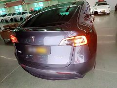 Tesla Model Y Rear-Wheel Drive - ფოტო 6