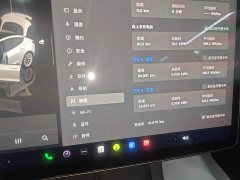 Tesla Model 3 Rear-Wheel Drive - ფოტო 12