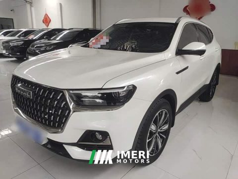 2024 Haval H6 2023 National Trend Edition 1.5T Automatic Champion Version - ავტომობილი ჩინეთიდან