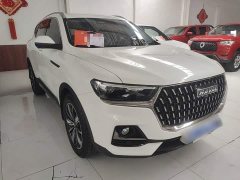 Haval H6 2023 National Trend Edition 1.5T Automatic Champion Version - ფოტო 4