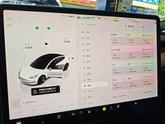 Tesla Model 3 Rear-Wheel Drive - ფოტო 12