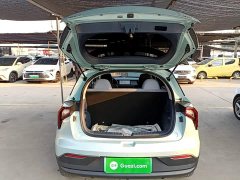 Geely Geometry E Firefly 401KM Linglong Tiger 4-Seater - ფოტო 19