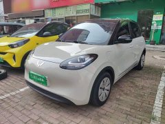 Wuling Binguo 333km Quick Enjoy Edition - ფოტო 1