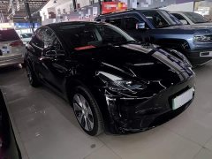 Tesla Model Y 2022 Facelift Rear-Wheel Drive - ფოტო 4