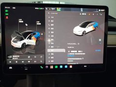 Tesla Model 3 2022 Rear-Wheel Drive - ფოტო 12