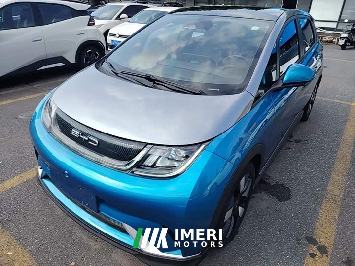 BYD Dolphin 401km Knight Edition - ავტომობილი ჩინეთიდან