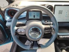 BYD Dolphin 401km Knight Edition - ფოტო 11