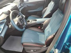 BYD Dolphin 401km Knight Edition - ფოტო 15