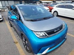 BYD Dolphin 401km Knight Edition - ფოტო 4