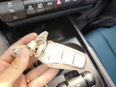 BYD Dolphin 401km Knight Edition - ფოტო 9