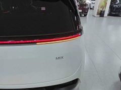 Zeekr Geely Zeekr MIX 2025 Smart Driving Edition - ფოტო 8