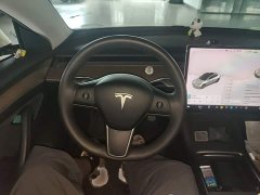 Tesla Model 3 Performance All-Wheel Drive - ფოტო 11
