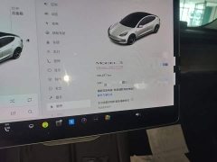 Tesla Model 3 Performance All-Wheel Drive - ფოტო 12