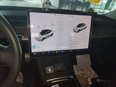Tesla Model 3 Performance All-Wheel Drive - ფოტო 13