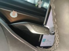 Tesla Model 3 Performance All-Wheel Drive - ფოტო 14