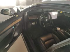 Tesla Model 3 Performance All-Wheel Drive - ფოტო 16
